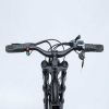 GT-0J2 New Design 16'' Mountain Electric Bicycle Ebike