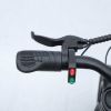 GT-0J2 New Design 16'' Mountain Electric Bicycle Ebike