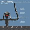 Indoor Magnetic-Resistance Flywheel Fixed Training Bicycle