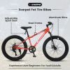 24 Inch Fat Tire Bike Adult/Youth Full Shimano 7 Speeds MTN