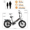 A2 Electric Bike Fat Tire 48V Removable Lithium Battery for Adult