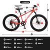 24 Inch Fat Tire Bike Adult/Youth Full Shimano 7 Speeds MTN