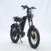 GT-0J2 New Design 16'' Mountain Electric Bicycle Ebike