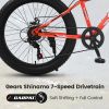 24 Inch Fat Tire Bike Adult/Youth Full Shimano 7 Speeds MTN